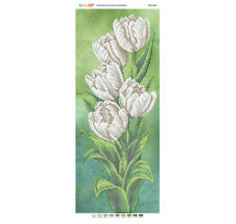 Белые тюльпаны  (част. выш.) ([ПМ 4101])