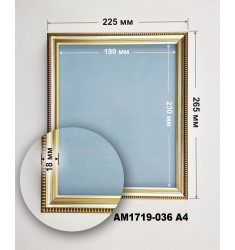 Рамка AM1719-036 A4 ([Рамка  AM1719-036 A4])